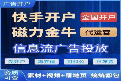 网络推广与竞价优化成功案例